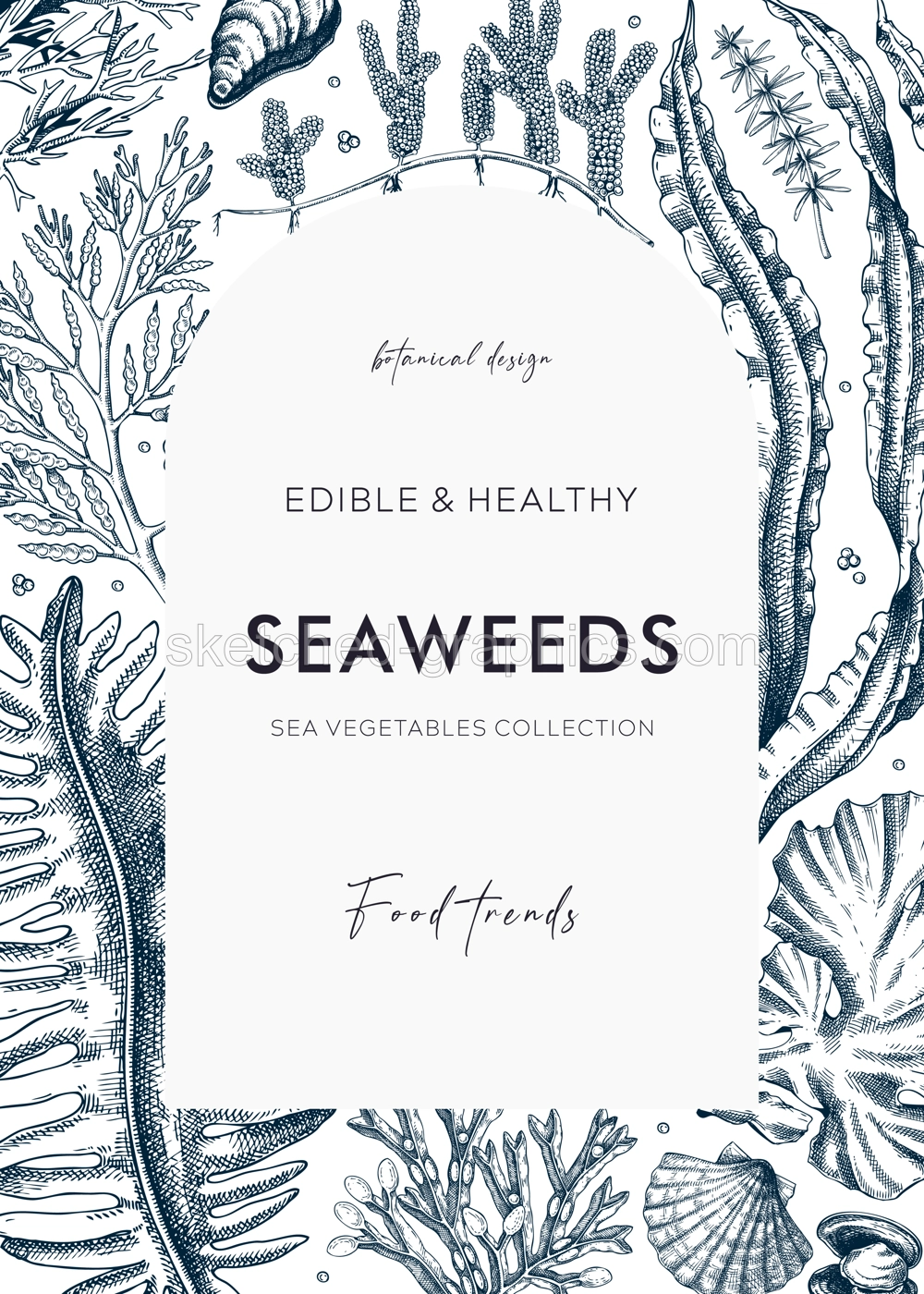 Edible seaweed card or invitation design. Sea algae in sketch style. Vector frame with kelp, wakame, kombu, and hijiki illustrations. Healthy food ingredients banner. Illustration